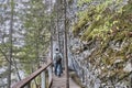 Senior male hiker walking on wooden hiking trail near cliff. Nature park Deer streams, Russia Royalty Free Stock Photo