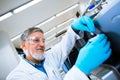 Senior male researcher carrying out scientific research in a lab Royalty Free Stock Photo