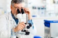 Senior male researcher carrying out scientific research in a lab Royalty Free Stock Photo