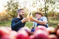 A senior man with adult son holding bottles with cider in apple orchard in autumn. Royalty Free Stock Photo