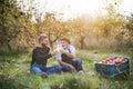 A senior man with adult son holding bottles with cider in apple orchard in autumn. Royalty Free Stock Photo