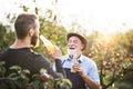 A senior man with adult son holding bottles with cider in apple orchard in autumn. Royalty Free Stock Photo