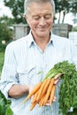 Senior Man On Allotment Holding Freshly Picked Carrots