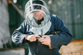 Senior man beekeper collecting honey from honeycomb Royalty Free Stock Photo