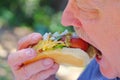 Man eating hot dog with relish and onions Royalty Free Stock Photo