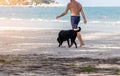 The Senior man with black labrador dog running at the beach Royalty Free Stock Photo