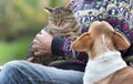Senior man with cat and dog Royalty Free Stock Photo