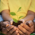 Senior man and child holding young green plant in hands Royalty Free Stock Photo