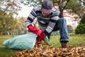 Senior man cleaning garden from fallen leaves. Royalty Free Stock Photo