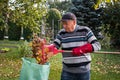 Senior man cleaning garden from fallen leaves. Royalty Free Stock Photo