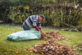 Senior man cleaning garden from fallen leaves Royalty Free Stock Photo