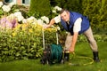 Senior man crimping hose in the garden Royalty Free Stock Photo