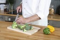 Senior man cutting vegetables in the kitchen. Conceptual image Royalty Free Stock Photo