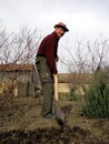 Senior man digging in the vegetable garden Royalty Free Stock Photo