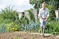 Senior Man Digging Vegetable Patch On Allotment Royalty Free Stock Photo