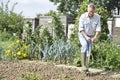 Senior Man Digging Vegetable Patch On Allotment Royalty Free Stock Photo