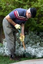 Senior man doing some gardening digging his garden with a shovel