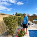 A senior man enjoying gardening Royalty Free Stock Photo