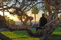 Senior man enjoying the sunset view in Heisler Park, Laguna Beach, CA.