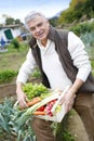 Senior man in garden collecting fresh vegetables Royalty Free Stock Photo