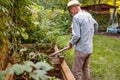 Senior man in the garden at summer day Royalty Free Stock Photo