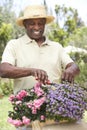 Senior Man Gardening Royalty Free Stock Photo