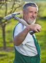 Senior man gardening in his garden Royalty Free Stock Photo