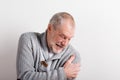 Senior man in gray woolen sweater, studio shot. Royalty Free Stock Photo