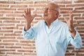 Senior man with grey hair standing over bricks wall celebrating mad and crazy for success with arms raised and closed eyes Royalty Free Stock Photo