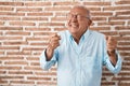 Senior man with grey hair standing over bricks wall excited for success with arms raised and eyes closed celebrating victory Royalty Free Stock Photo