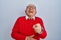 Senior man with grey hair standing over isolated background laughing at you, pointing finger to the camera with hand over body, Royalty Free Stock Photo