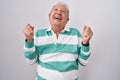 Senior man with grey hair standing over white background celebrating surprised and amazed for success with arms raised and eyes Royalty Free Stock Photo