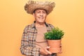 Senior man with grey hair wearing gardener hat holding plant pot looking positive and happy standing and smiling with a confident Royalty Free Stock Photo