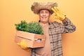Senior man with grey hair wearing gardener hat holding wooden plant pot doing ok sign with fingers, smiling friendly gesturing Royalty Free Stock Photo