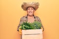 Senior man with grey hair wearing gardener hat holding wooden plant pot looking positive and happy standing and smiling with a Royalty Free Stock Photo