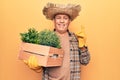 Senior man with grey hair wearing gardener hat holding wooden plant pot smiling happy pointing with hand and finger to the side Royalty Free Stock Photo