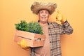 Senior man with grey hair wearing gardener hat holding wooden plant pot smiling happy and positive, thumb up doing excellent and Royalty Free Stock Photo