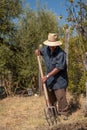 Senior man hand plowing in the field