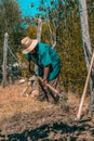 Senior man hand plowing in the field