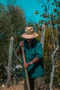 Senior man hand plowing in the field