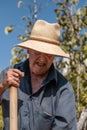 Senior man hand plowing in the field