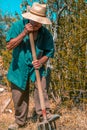 Senior man hand plowing in the field