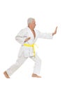 Senior man in karate pose Royalty Free Stock Photo