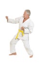 Senior man in karate pose Royalty Free Stock Photo