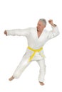 Senior man in karate pose Royalty Free Stock Photo