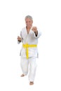 Senior man in karate pose Royalty Free Stock Photo