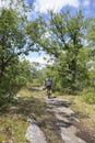 Senior man Mountain biking in Muskoka Royalty Free Stock Photo