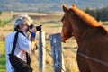 Senior man photographer photographing horse countryside sunset