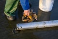 Senior man picking up freshly rinsed off razor clams to put back in bucket, Ocean Shores, Washington State, USA
