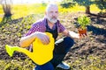 Senior man planting a plants in garden outdoors spring season ready Royalty Free Stock Photo